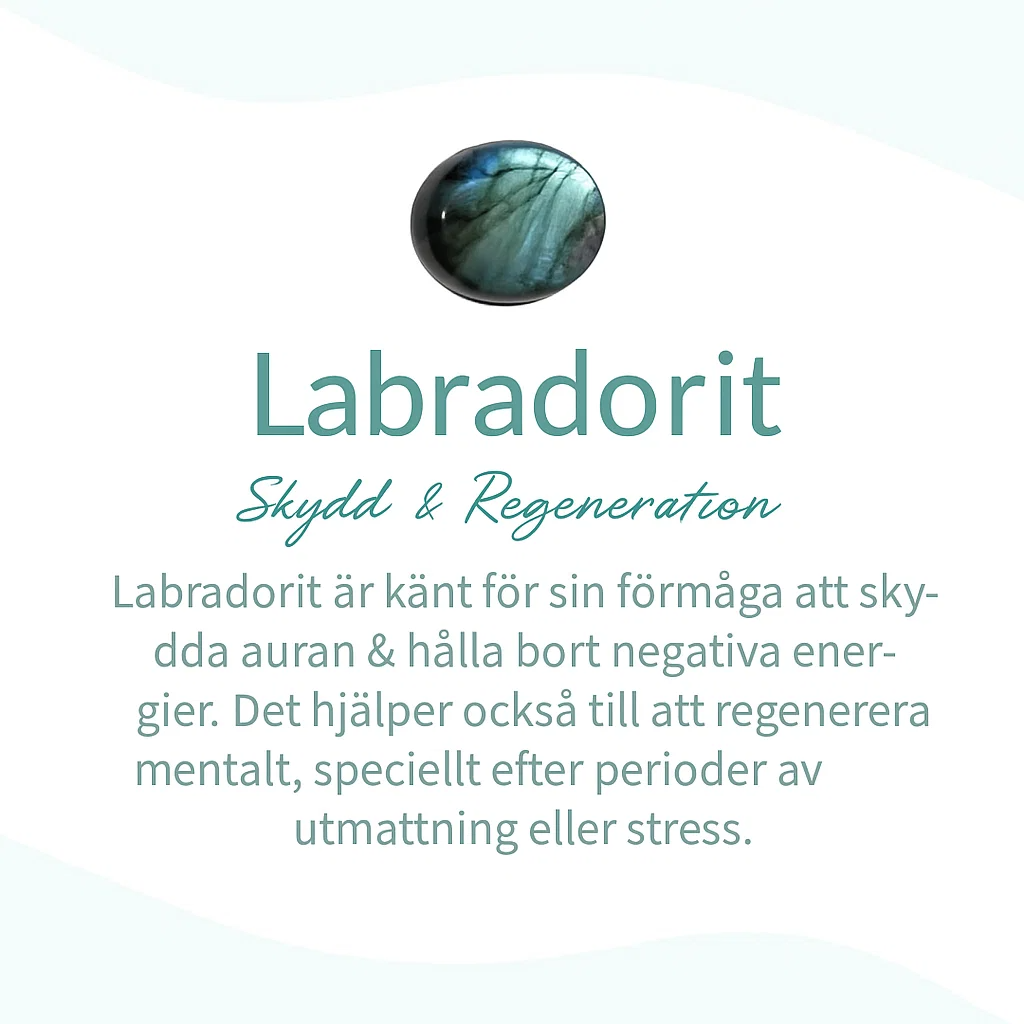Elegant Skyddshalsband i Labradorit