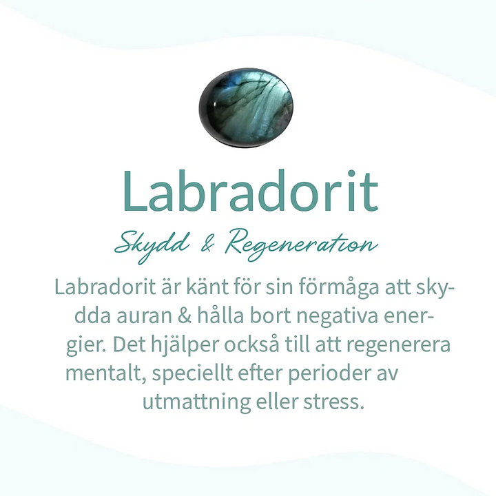 Elegant Skyddshalsband i Labradorit
